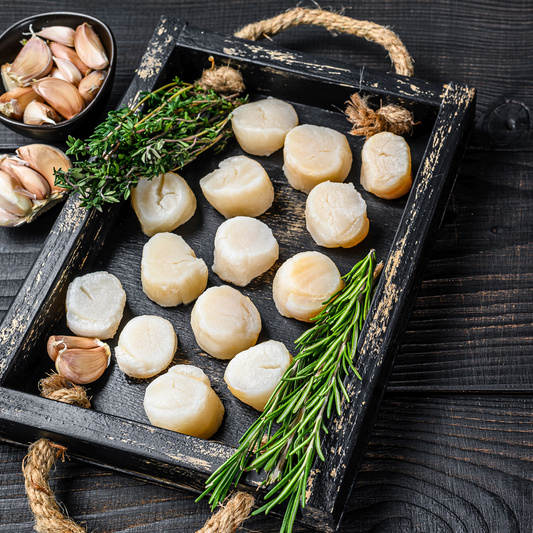 Frozen Japanese Scallops (Pkt)